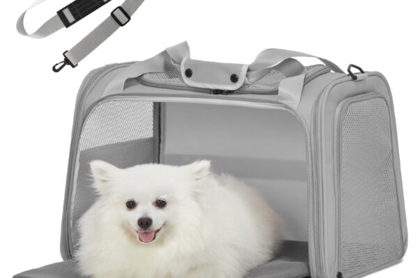 puppy cages for small dogs