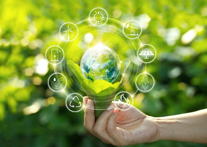 Environmental Consultant