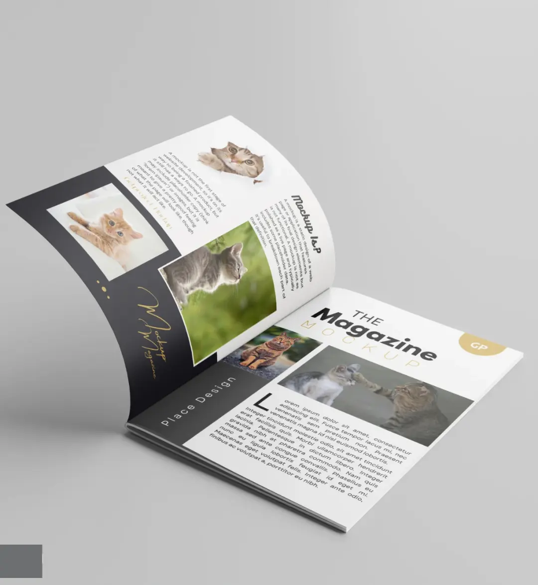 magazine printing online