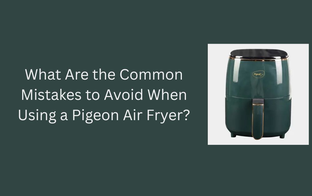 air fryer pigeon