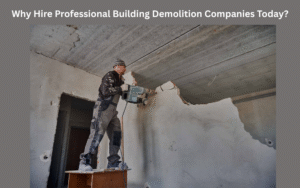 Why Hire Professional Building Demolition Companies Today?