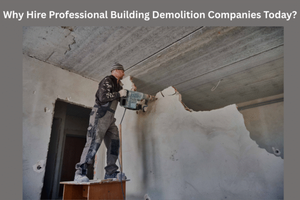 Why Hire Professional Building Demolition Companies Today?