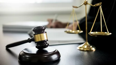 Jurist fastighetsrätt