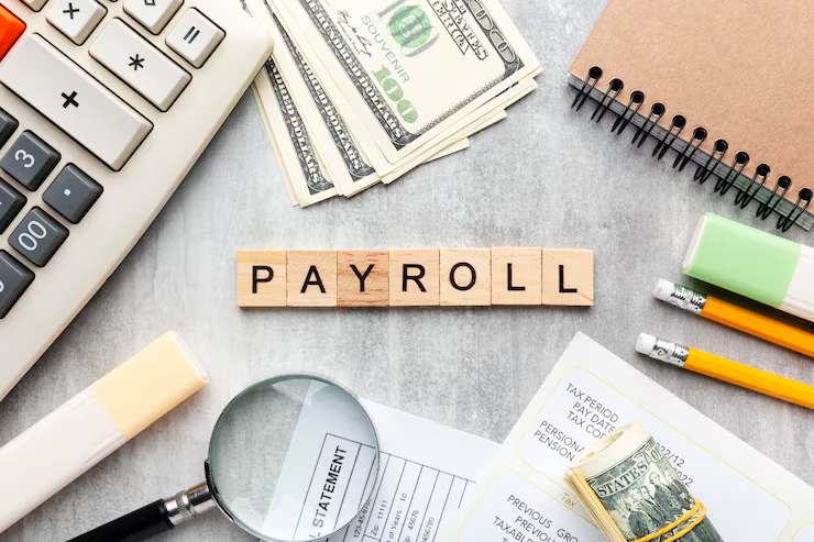 HR & Payroll Management UAE