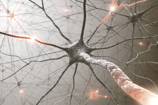 peripheral neuropathy.