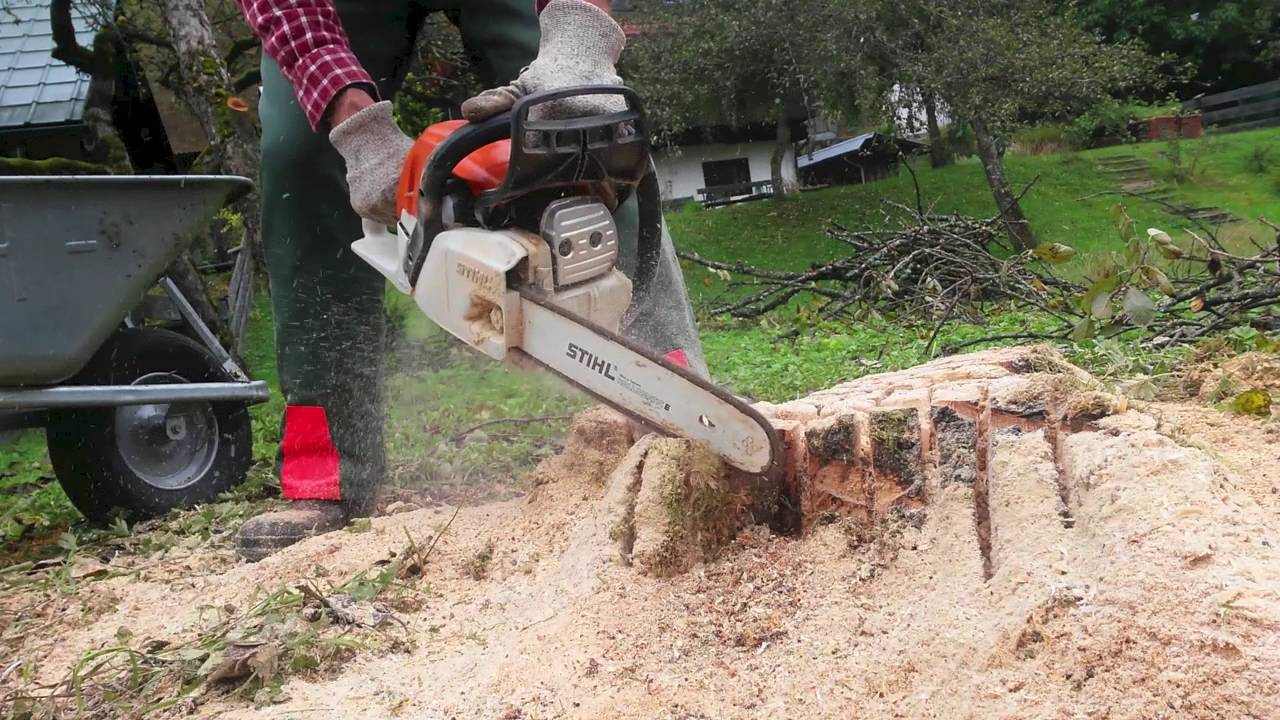 tree stump grinding