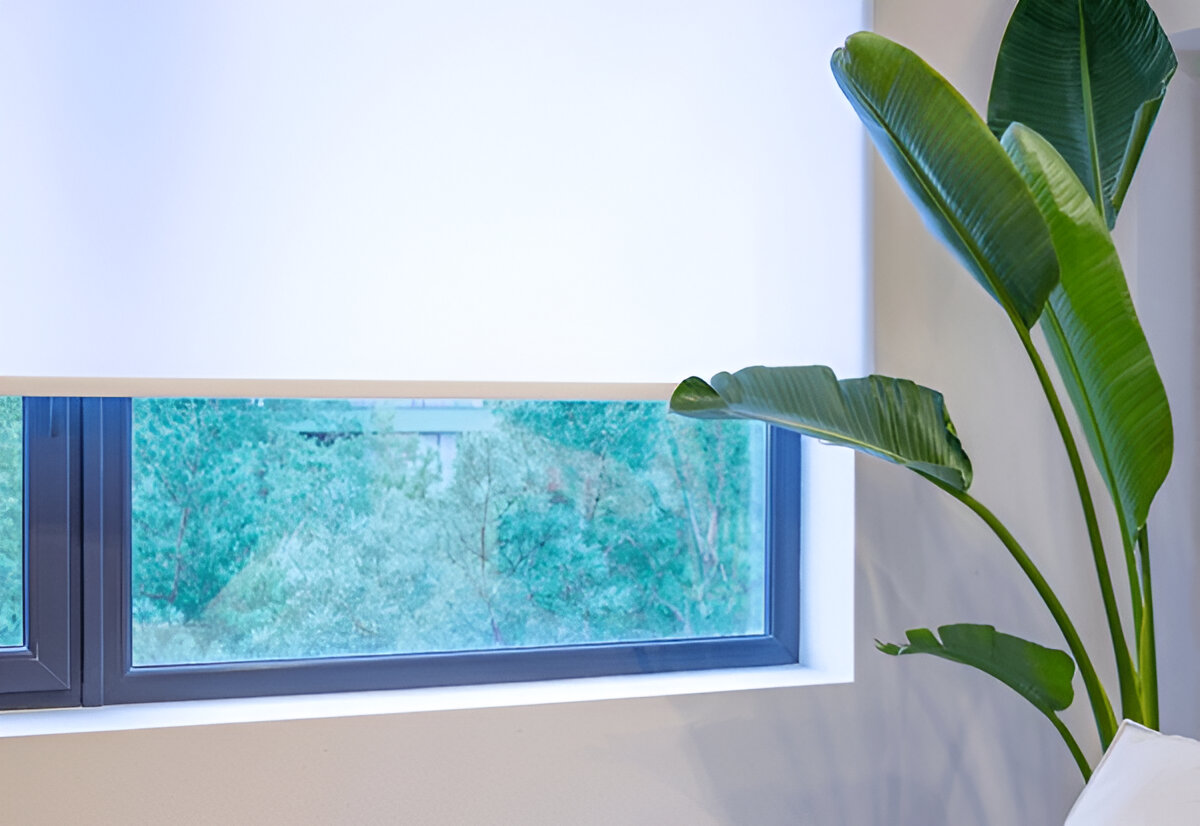Custom Window