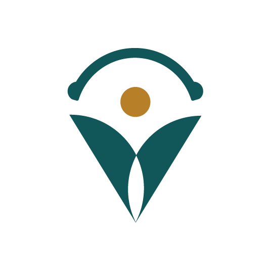 virtual medical scribe services