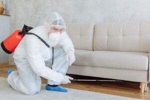 Person in blue protective suit spraying disinfectant inside a modern living room during pest control and sanitization.