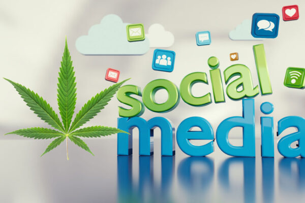 cannabis social media