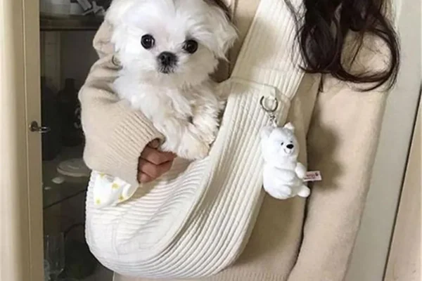 dog in sling