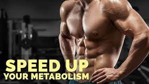 metabolism