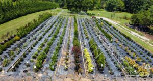 caney creek nursery