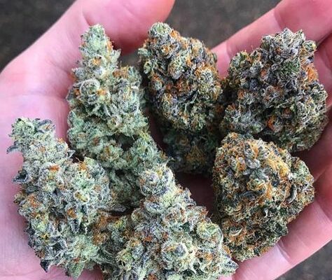 buy wholesale weed