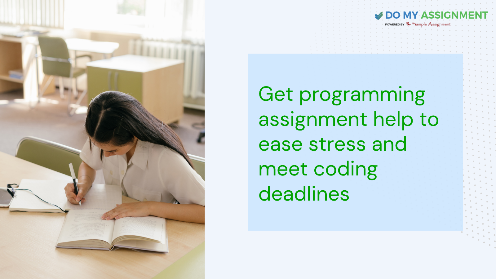 programming assignment help