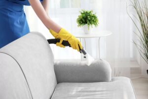 Upholstery cleaning services