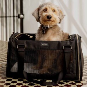 dog carrier for dogs