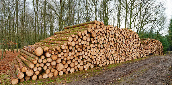 firewood supplier