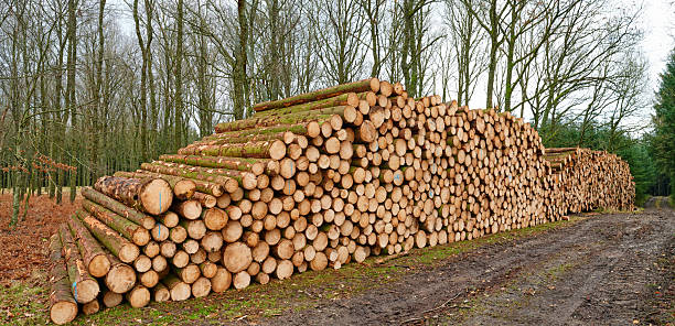 firewood supplier