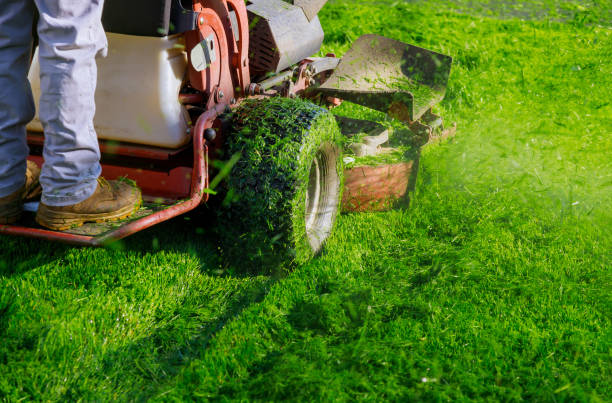 lawn care services