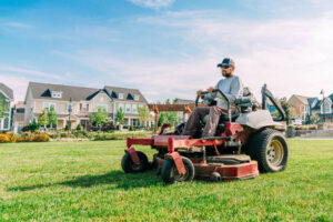 lawn mowing experts