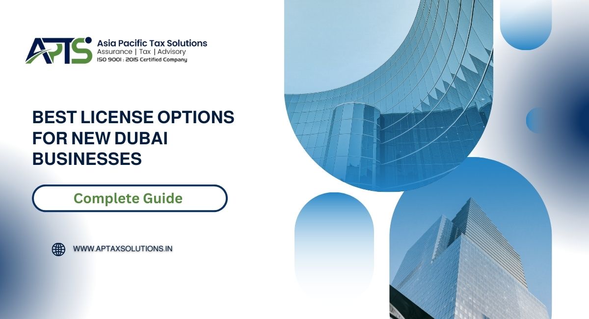 Best License Options for New Dubai Businesses