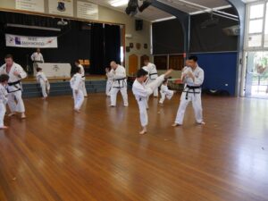 Taekwondo Caringbah