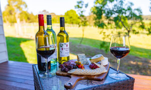 Brisbane wineries with accommodation