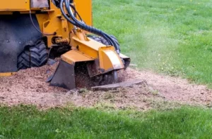 Stump Grinding
