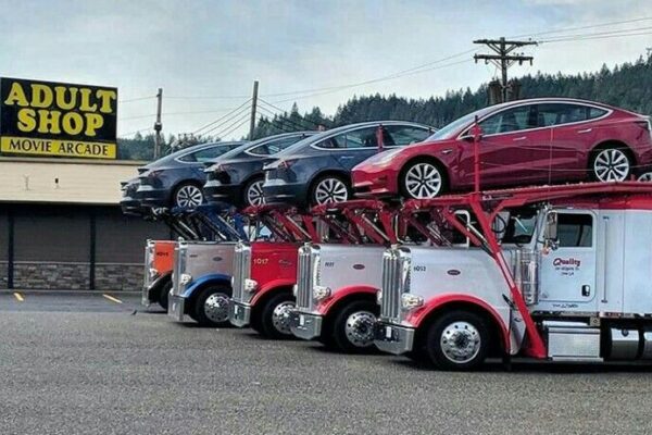 enclosed car carrier services