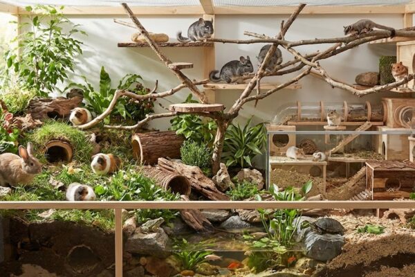 small animal habitat