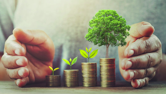 Build Multiple Income Sources