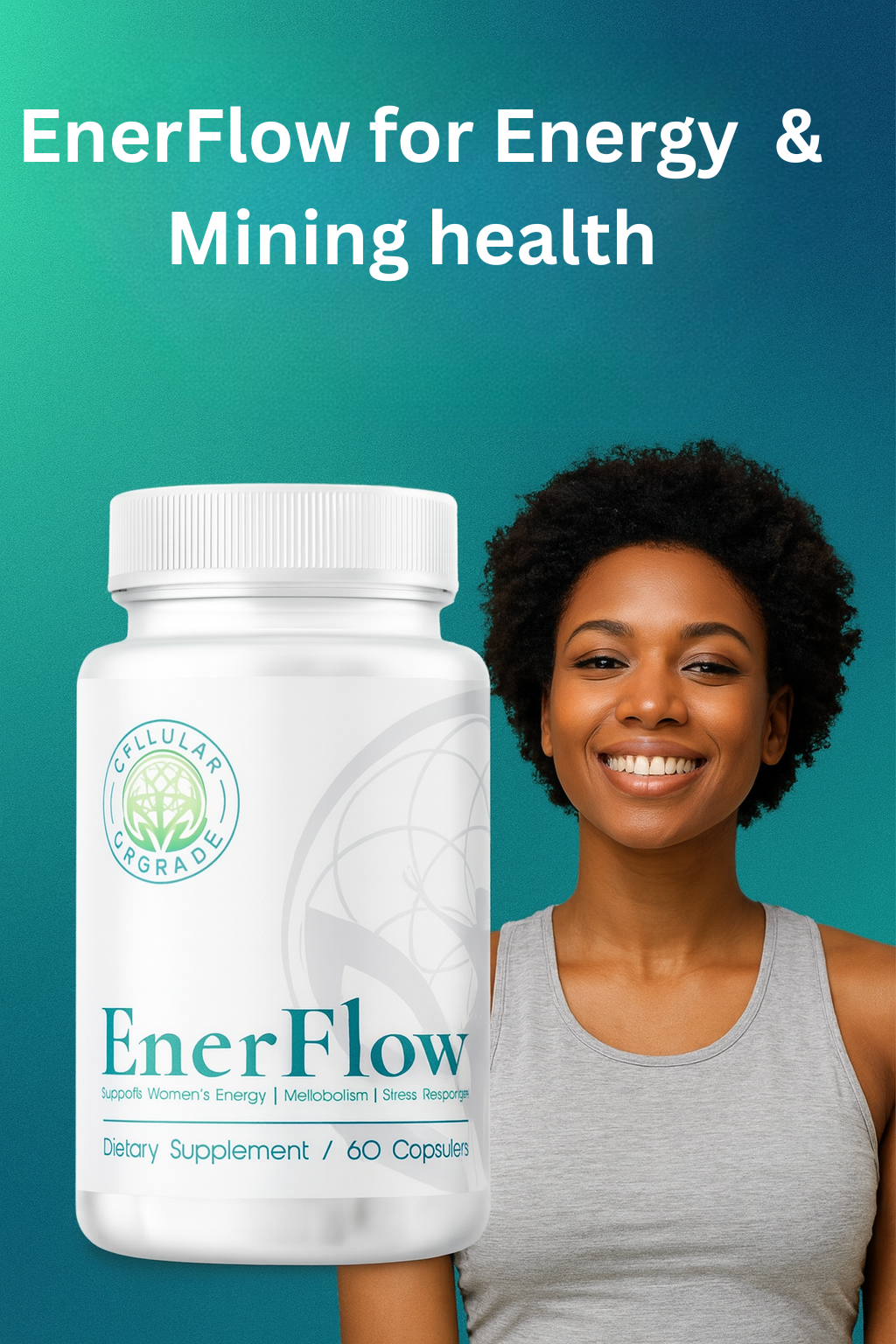 EnerFlow