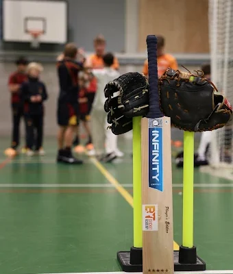 handmade cricket bats UK