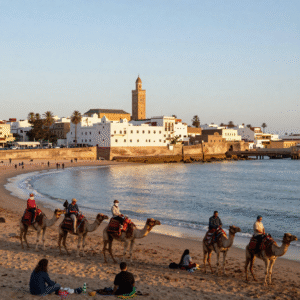 Essaouira الصويرة Camel Rides: Perfect Sunset Memories