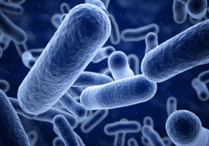 Bacterial Infections