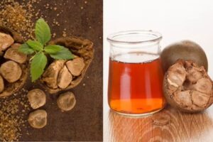 Real Monk Fruit Extract