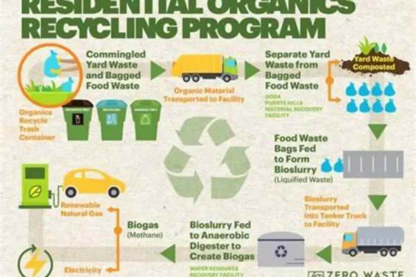 What is Organic Waste Recycling? Methods, Steps, and Its Importance