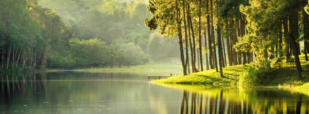 drelizabethblackburn